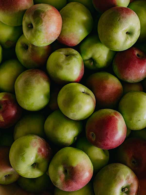 Woodlife Farm Market, New Lebanon Farm Stand, Farmer's Market NY, New Lebanon Greenhouse, Pick Your Own Apples, Apple Orchards