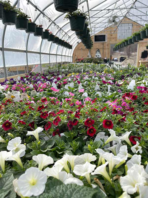 Woodlife Farm Market, New Lebanon Farm Stand, Farmer's Market NY, New Lebanon Greenhouse, Pick Your Own Flowers, Farm Gardens