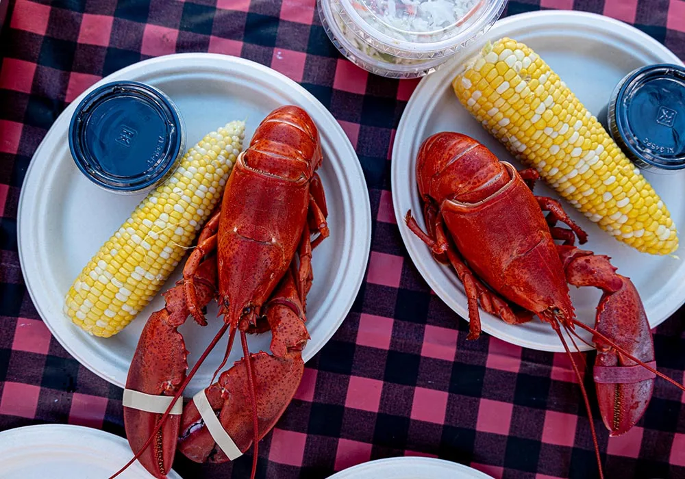Image of two boiled lobsters plated with corn on the cob.